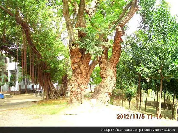 遊記---台南公園(第二次)(5)