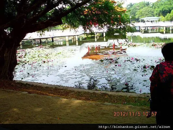 遊記---台南公園(第二次)(2)