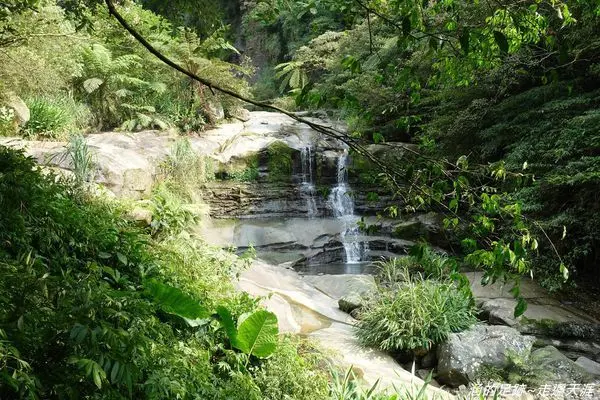 [新北景點] 汐止 - 姜子寮絕壁步道～ 步道平緩輕鬆好走，約半小時即可欣賞姜子寮瀑布和絕壁美景，親子踏青好去處