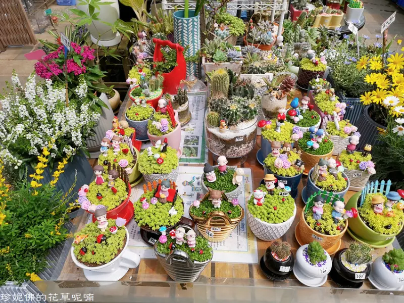 【台北-北投區】魔晶園Magic Park 竹子湖店