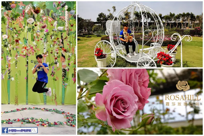 【遊。雲林】NICE蘿莎玫瑰山莊〜雲林古坑景點免費入園！浪漫玫瑰花園+羅莎小鋪草本香氛系列推薦指數爆棚！