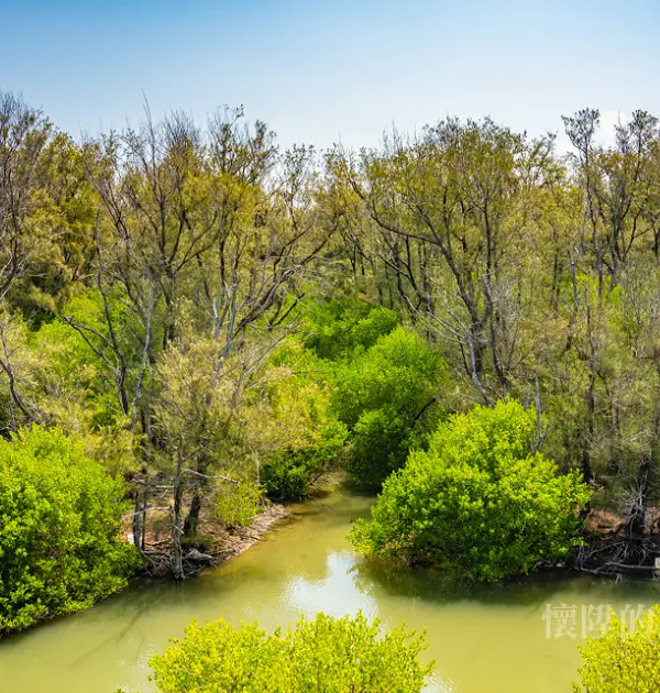 【台南秘境】城西夢幻湖：城市裡的森林秘境，原來騎車就可以到，探索台南秘境之美