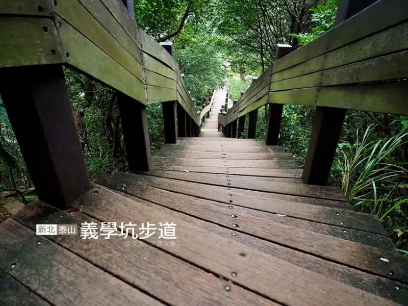 新北泰山後山美景：義學坑步道