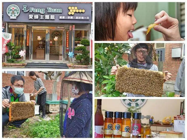 {竹北景點}新竹竹北蜜蜂生態農場體驗：「愛蜂園」費用只要150，就能近距離看蜜蜂，找蜂后，還能現場品嚐新鮮蜂蜜，費用還可以折抵門市消費。