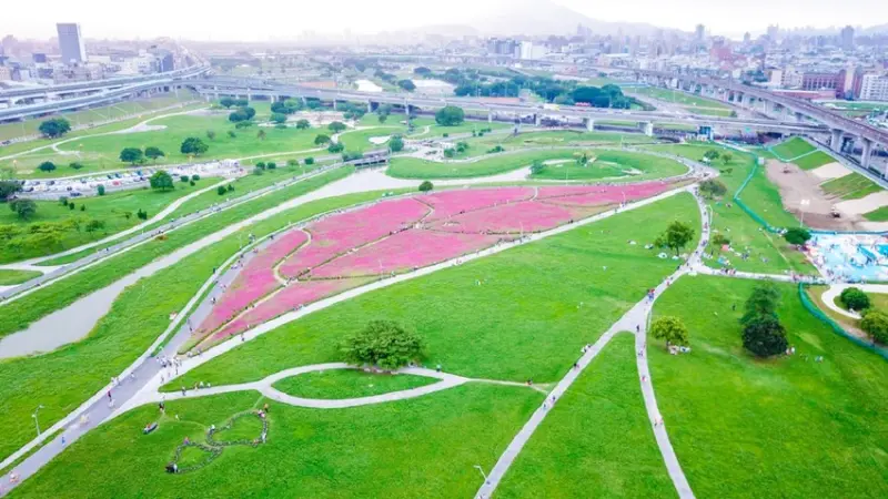 新北景點》 一葉致富 景觀花海 超過一公頃桃紅色百日草就在新北大都會公園 - 艾莉絲愛旅行