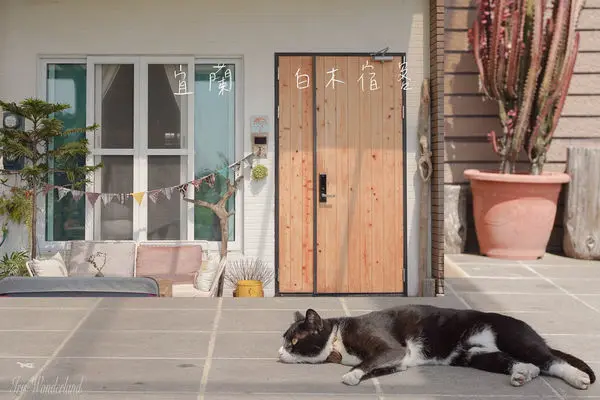 宜蘭・頭城｜白木宿客・旅人Wood White House讓你外出旅行也有回到家的感覺