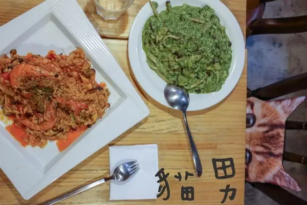 ‖蘆洲食報‖捷運徐匯中學站‖貓男-貓奴の天堂  領養不棄養