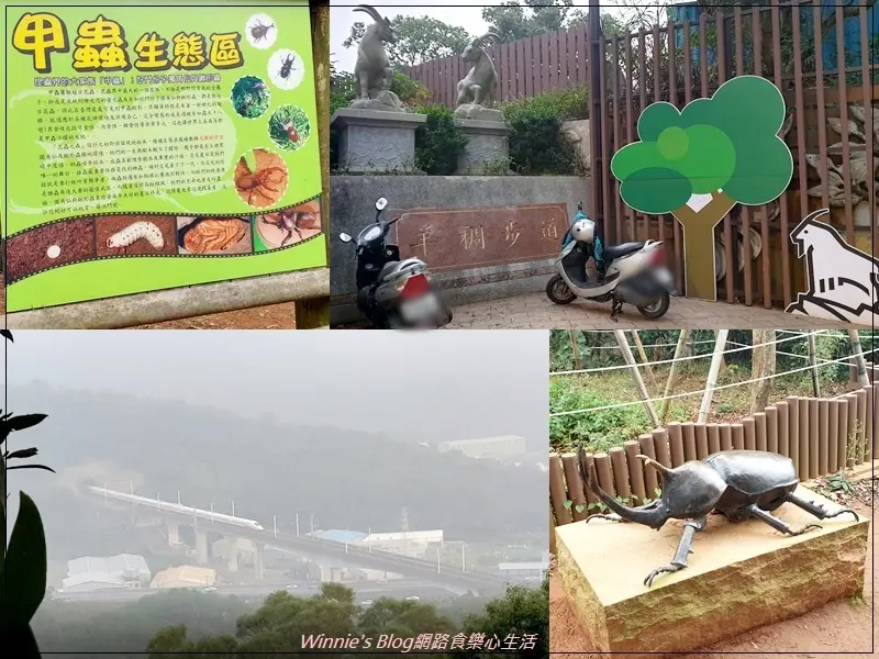 ★桃園．吃喝玩樂★桃園蘆竹羊稠森林步道/羊稠坑步道~林口龜山南崁親子森林步道/甲蟲生態步道/高鐵景觀步道/好走好輕鬆森林芬多精/影片