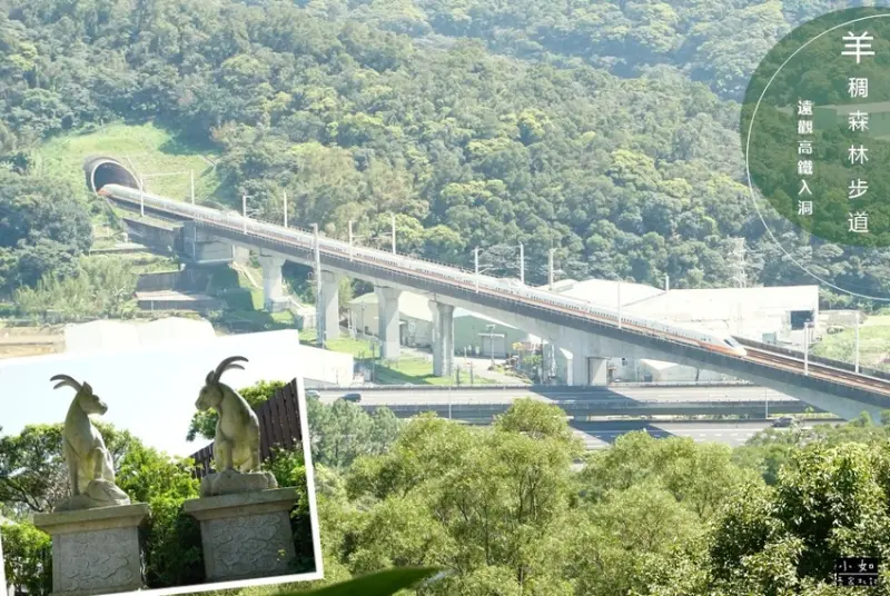 【桃園蘆竹步道】羊稠森林步道‧羊稠坑步道‧可以看到高鐵入洞的景象‧來對時候可以巧遇甲蟲！