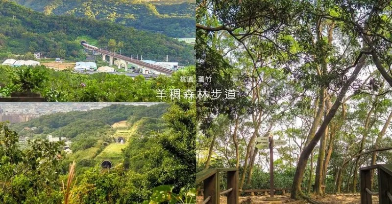 眺望高鐵進出隧道︱桃園蘆竹羊稠森林步道