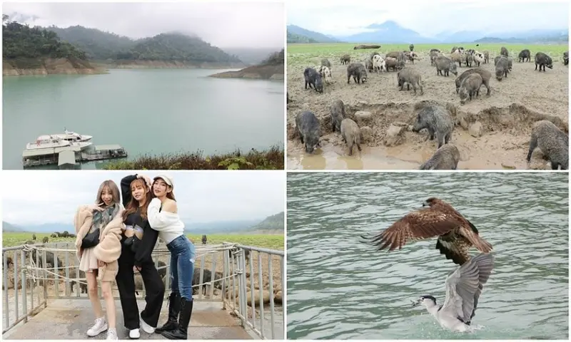 嘉義大埔一日遊。曾文水庫遊艇環湖、全台唯一合法釣魚台 釣魚賞鷹、吸收負離子、美食、資深玩家私藏秘境