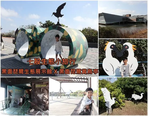 【台南七股區】七股生態小旅行。黑面琵鷺生態展示館 X 黑面琵鷺賞鳥亭