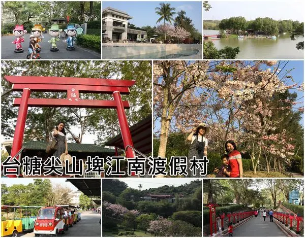 【台南柳營區】『台糖尖山埤江南渡假村』～盛開的花旗木美麗動人，日式的造景濃濃的日本風以為秒飛日本！