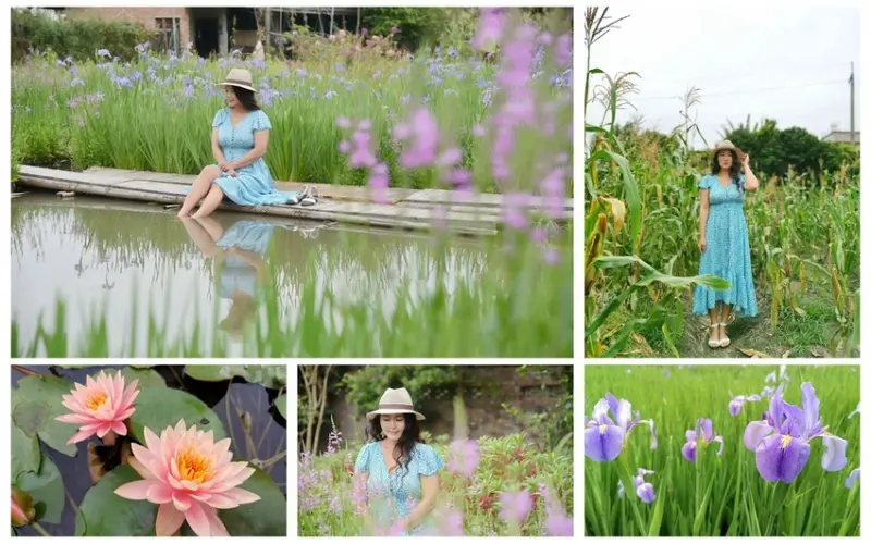 【彰化。田尾鄉】旅人小屋舒宿/2020田尾鳶尾花田/鳶尾秘境田園風光/季節限定版/IG網美集散地(花況109/04/05)