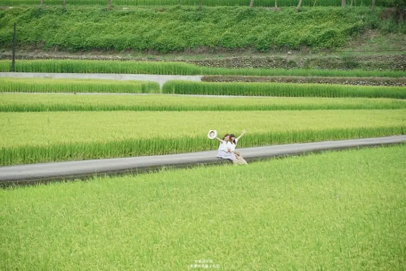 [桃園龍潭 三和社區]座落在稻香裡的茶鄉秘境 手作燒窯體驗 療癒系多肉植物 來一壺暖呼呼的和窯好茶 - 安妮的天空