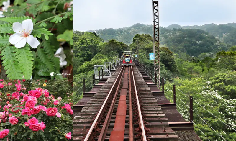 五月浪漫遊三義 ~ 舊山線鐵道自行車賞桐花 / 雅聞香草植物工廠感受童話森林