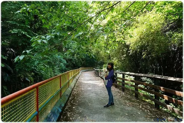 [台中石岡]午後散步好去處！電火圳生態步道-環境清幽/路面平坦好走/沿路樹蔭涼爽，適合親子同遊(多圖)