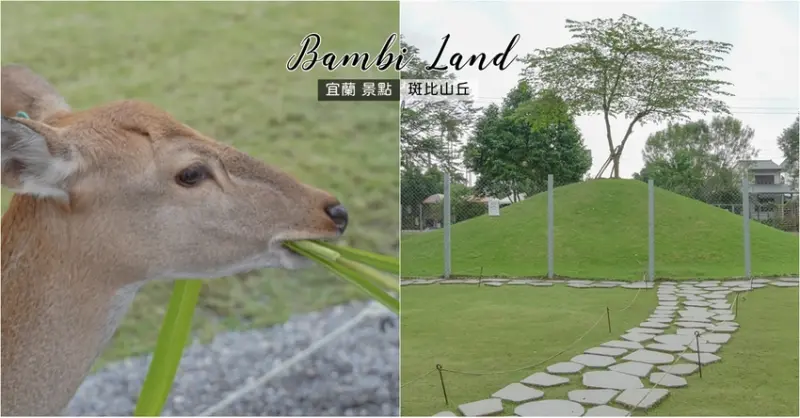 宜蘭台版小奈良,免排隊預約與梅花鹿近距離接觸-斑比山丘