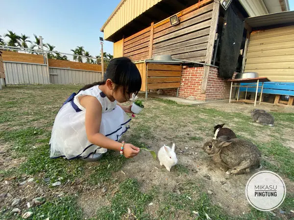∥屏東/遊．內埔∥ 蕭家大院兔子親子餐廳 ๑萌兔陪你渡過優閒午後