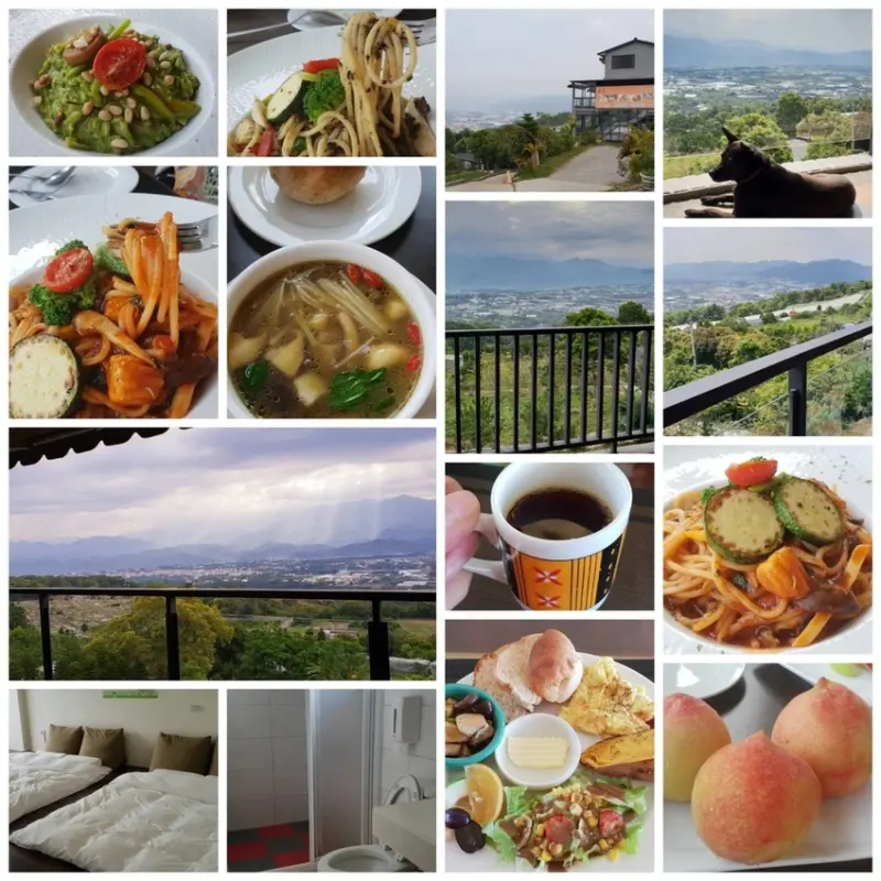 山沐斯達蔬食民宿(臺中市新社區崑山里崑南街29-7號)