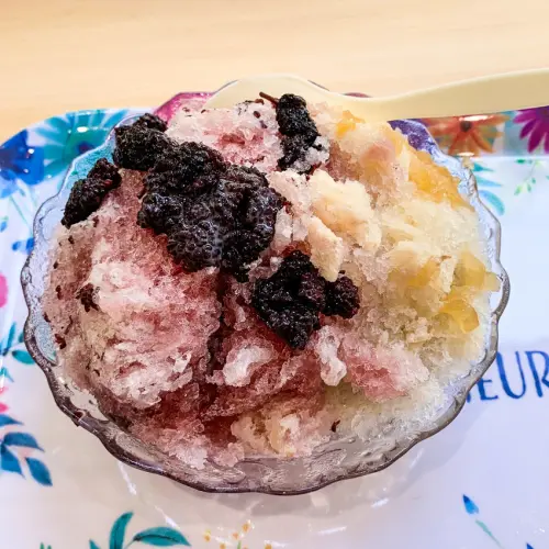 新竹輕旅行新景點 可愛動物手繪風小庭院的田庄桑椹冰 吃冰消暑還能拍美照...