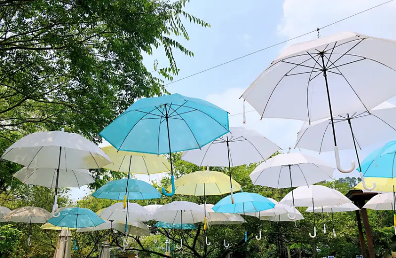 合興車站 通往愛情的浪漫列車 合興愛情火車站 新竹景點推薦 假日旅遊好去處