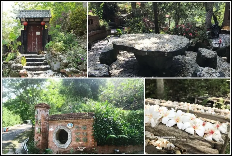 新竹關西。觀兮天籟簡餐咖啡民宿桐花紛飛