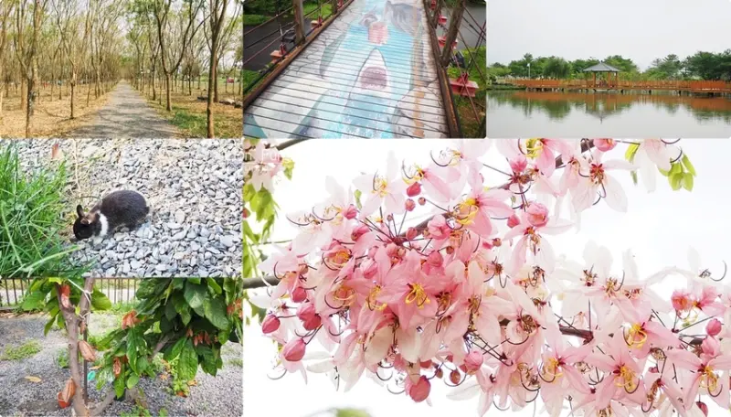 屏東新景點推薦｜枋寮新埤潮州萬巒一日遊。可茵山cocosun巧克力莊園枋寮店｜新埤鄉綜合休閒公園｜林後四林平地森林園區｜萬巒彩繪吊橋