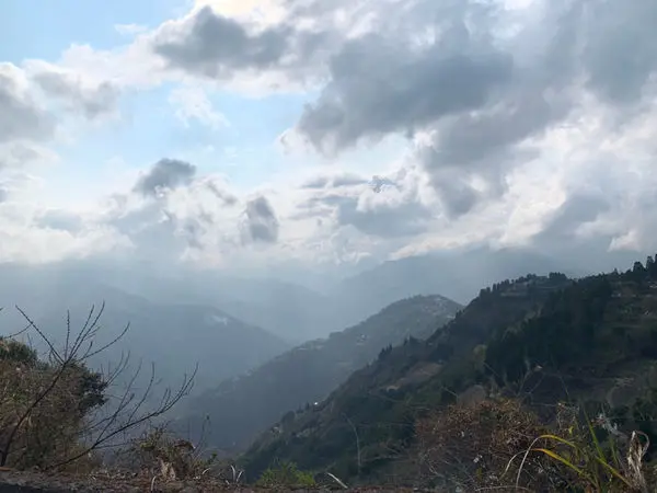 北橫拉拉山櫻花季-恩愛農場#桃園復興櫻花