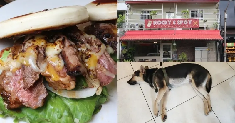 台南平價異國美食Rockys Spot  捲餅、刈包與水牛辣雞、BBQ豆腐等餐點自由配