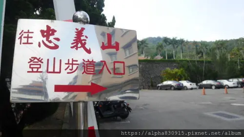 【Tw】忠義山親山步道｜搭捷運就能抵達的森林小步道，夏日避暑好去處