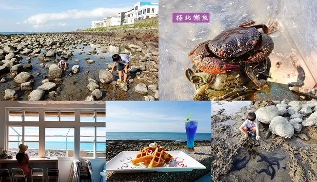 新北石門海邊抓螃蟹秘境 ▶ 極北懶熊 ▶ 北海岸玩水、抓螃蟹私房景點 超多螃蟹及海參 北海岸一日遊、無敵海景咖啡廳!
