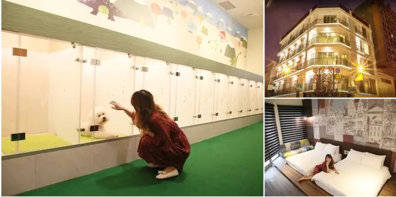 【台南住宿】台南寵物友善住宿空間，神似林百貨的特色文青風旅店：樹屋文旅 - 熱血玩台南。跳躍新世界