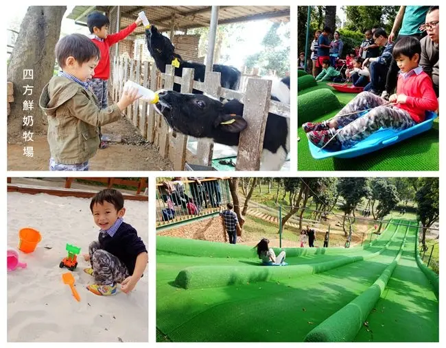 苗栗一日遊景點 ▶ 四方鮮奶牧場 ▶ 新奇有趣的極速滑草、餵小牛喝ㄋㄟㄋㄟ 還有大草皮、大沙坑及兒童遊樂設施 #苗栗親子一日遊必玩
