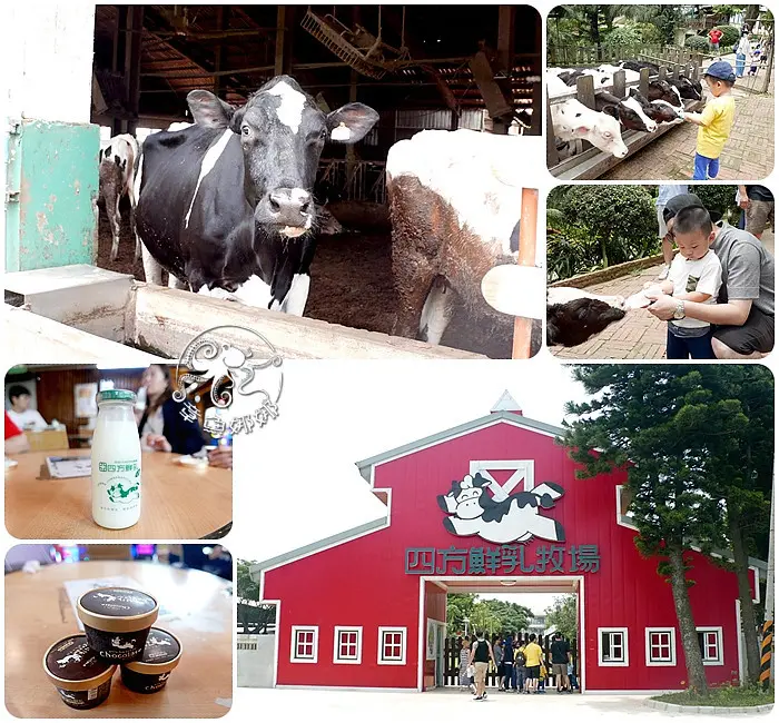 【苗栗親子景點】四方鮮乳牧場從源頭到成品，完全一條龍的牧場！自產自銷深耕多年！門票$100元兌換乳製品三選一，餵小牛喝奶奶、認識生態與認識乳牛，另有觀光工廠與生產工廠！