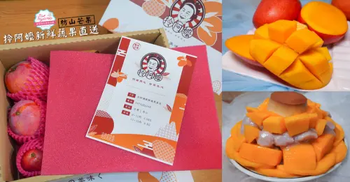 屏東枋山愛文芒果產地現摘宅配直送，甜度超過15度，外銷日本高品質芒果在這裡‼(優惠價588元再享折扣)