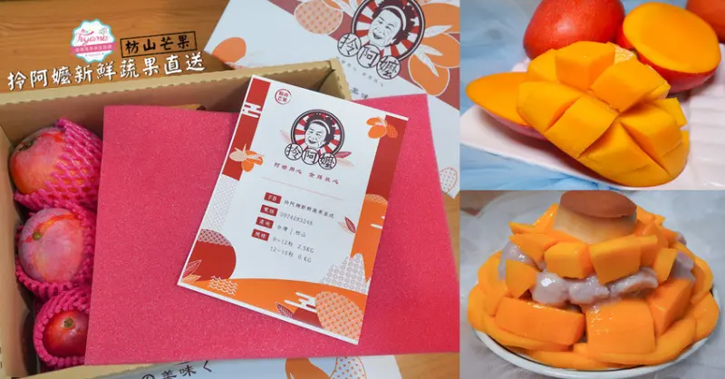 屏東枋山愛文芒果產地現摘宅配直送，甜度超過15度，外銷日本高品質芒果在這裡‼(優惠價588元再享折扣)