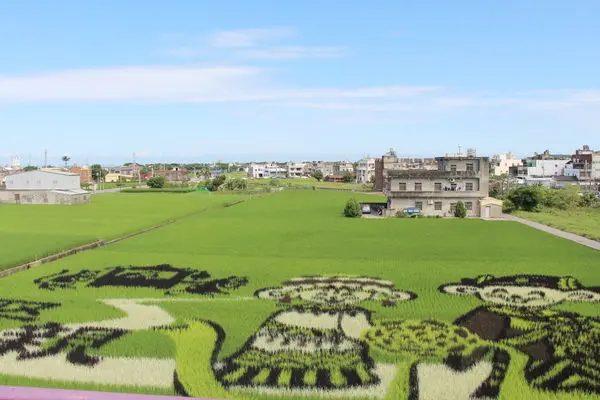 苗栗免費景點【苑裡彩繪稻田】2020老鼠娶親稻田彩繪~免費入園。3樓高觀景臺(懼高症會怕怕)