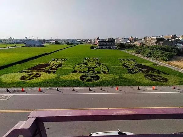 苗栗~稻草彩繪~愛情果園~大鼎夏荷牛肉麵午餐~