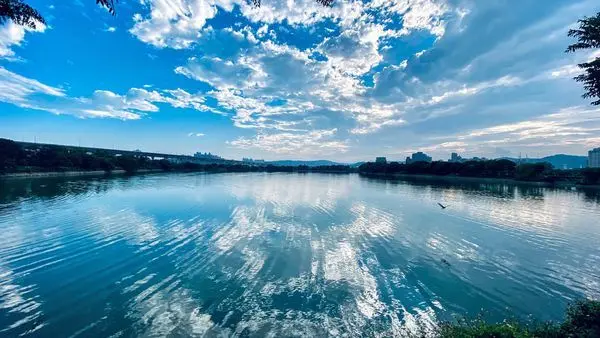 離桃園巿區最近秘密花園│蘆興景觀埤塘生態公園│景觀優美環湖步道│桃園休閒賞景運動的好地方