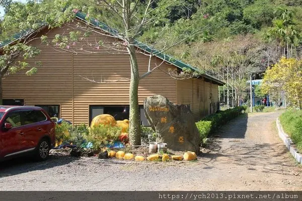 新竹關西／斯摩亞營地／有魚池可釣魚，大尾可購買，不買就放回池裡