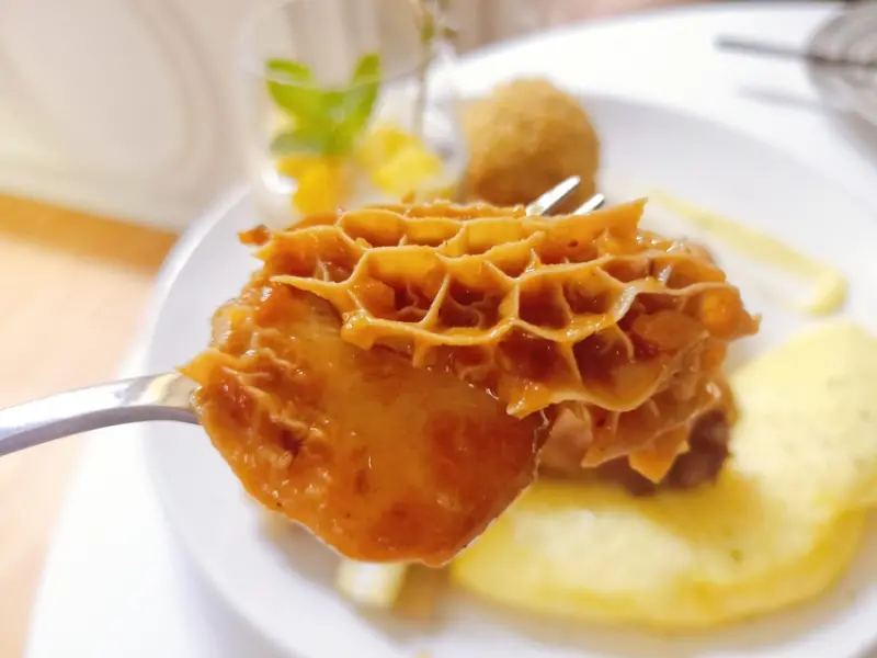 台北東區聚餐暢飲首選推薦~k.d bistro taipei 最吸睛的餐酒館!!