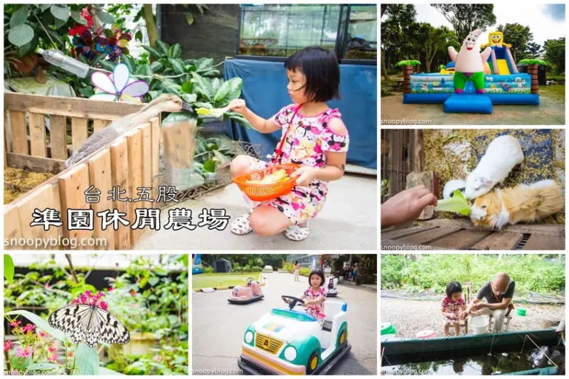 【新北景點】台北親子景點｜五股準園休閒農場～3000坪大草原放風小孩，還能餵食動物、玩大泡泡、釣螫蝦、披薩DIY，適合親子同遊