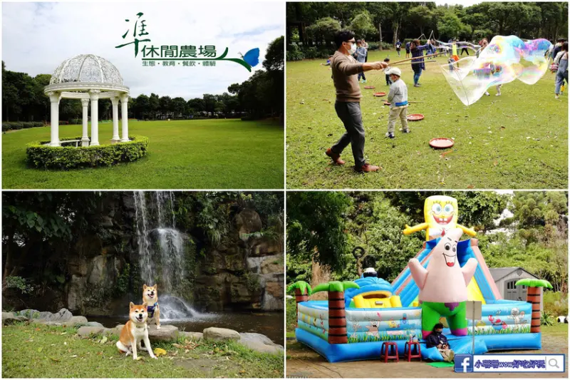 【遊。五股】準休閒農場〜隱藏都市裡的森林祕境！擁有4.5公頃森林生態，餵動物、釣螯蝦、玩大泡泡，CP值超高親子一日遊