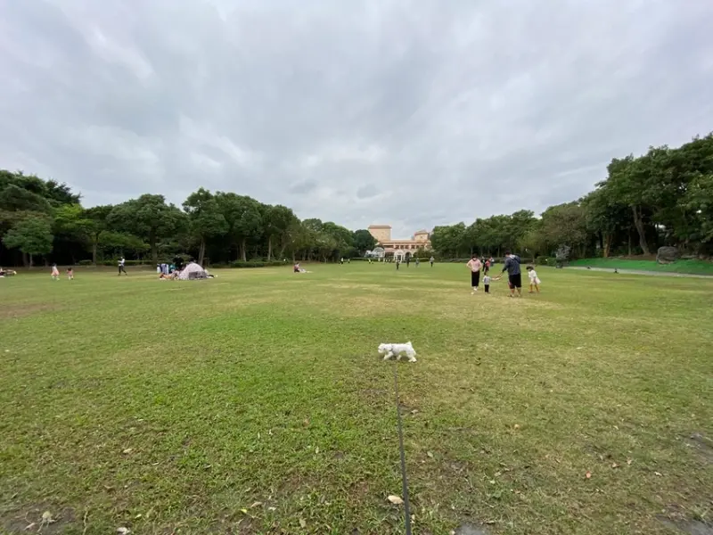 【新北五股-準休閒農場】一個人遛狗、遛小孩的好去處(寵物友善農場、大草坪)