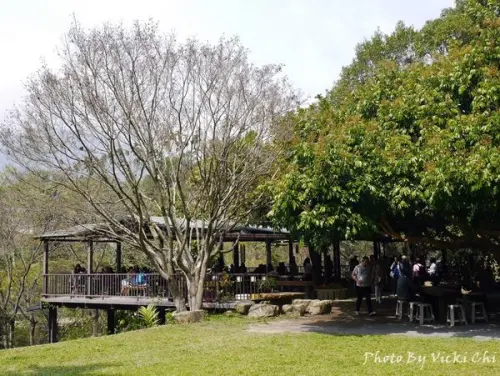 南投水里│阿成的家，在龍眼樹下庭院無菜單家常料理