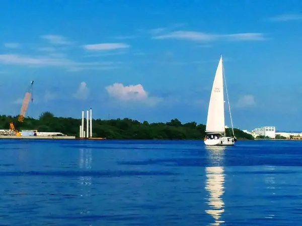 【旅遊】「安平亞果遊艇城」搭帆船！坐擁海天一色、乘風破浪賞紅樹林