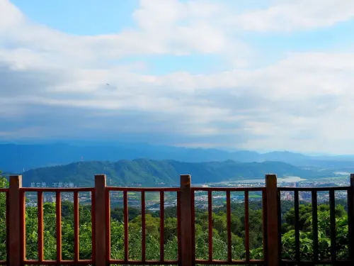 不用爬階梯也能輕鬆俯瞰雙北美景的好景點∣樹林百年大榕樹