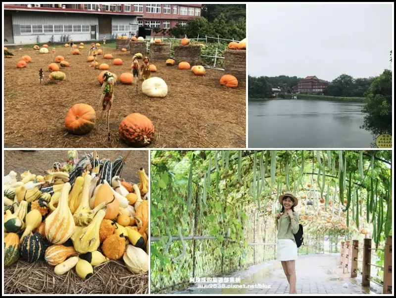 苗栗造橋。超療愈超好拍龍昇金瓜綠龍隧道