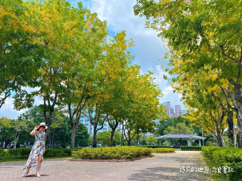 台中南區 || 半平厝公園（原崇德公園）台中阿勃勒花季6月黃金雨，賞花野餐好風景